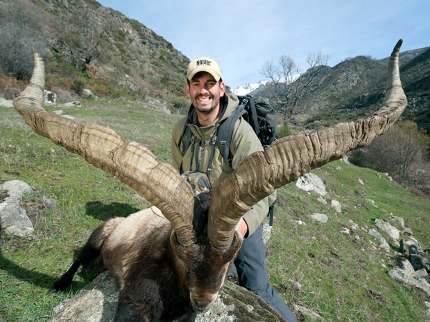 Spain / Gredos Ibex