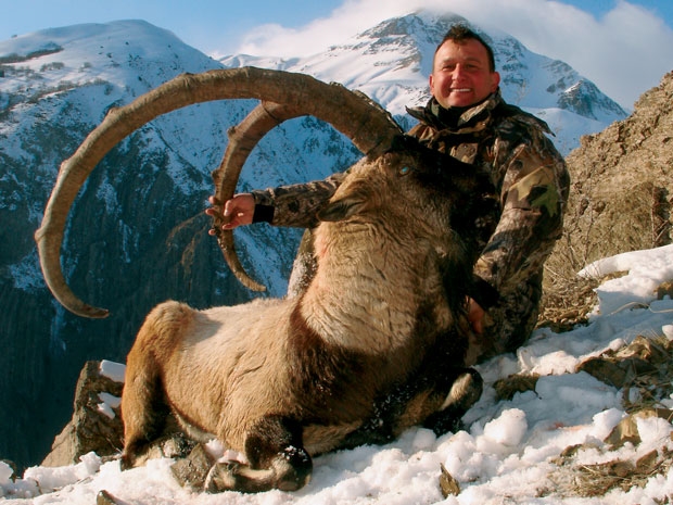 Turkey / Mercan Ibex